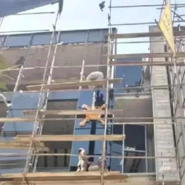 1710069834969.webp