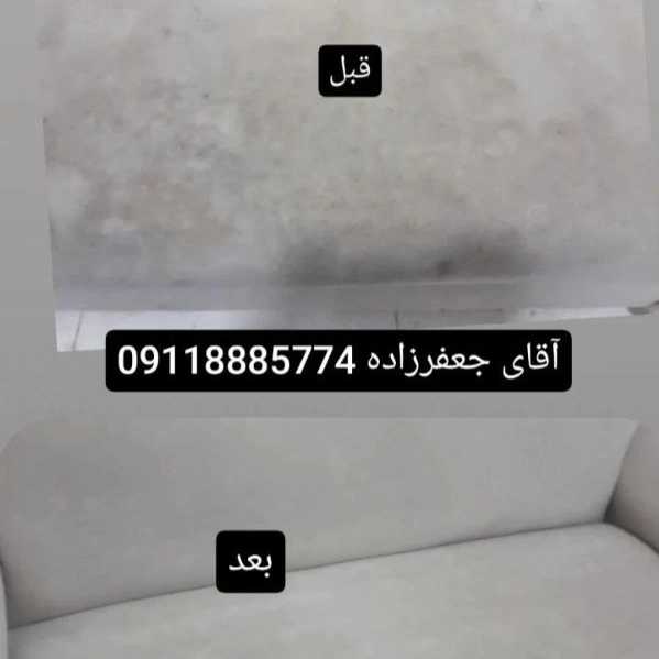 1713079784456.webp