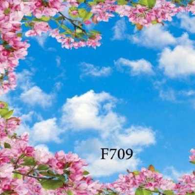 1713435430431.webp
