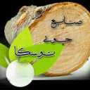 صنایع چوب توسکا،تولید و فروش چوب روسی و ایرانی در مشهد