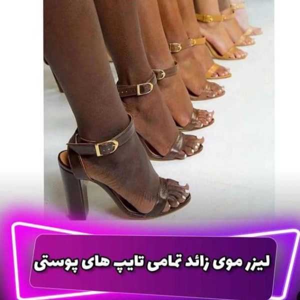 1713865484885.webp