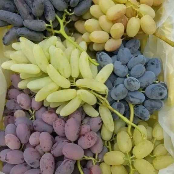 1713950983962.webp