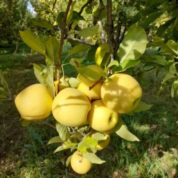 1713956000499.webp
