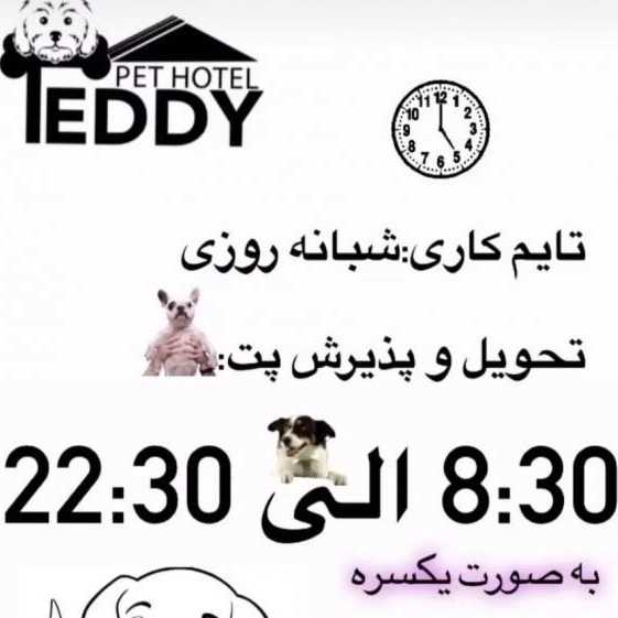 1714479141619.webp