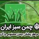 چمن سبز ایران، پخش چمن مصنوعی در رباط کریم