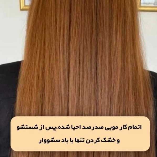 1714565257948.webp