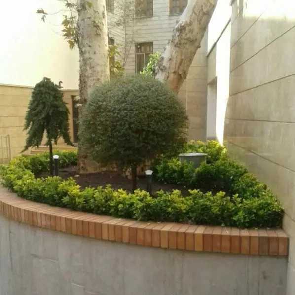 1714629654679.webp