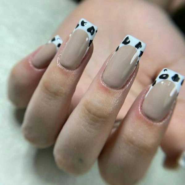 1715169605523.webp