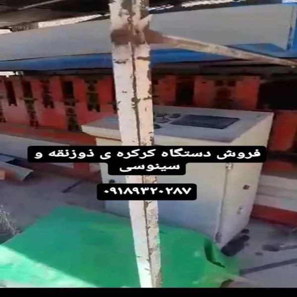 1715593671465.webp