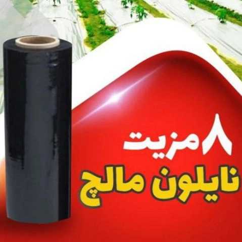 1715598104985.webp