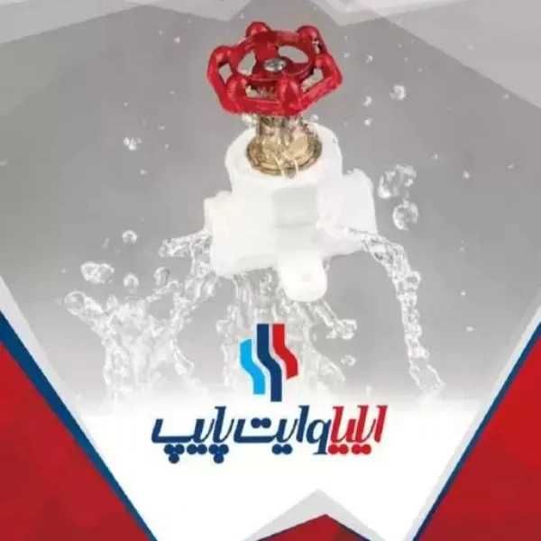 1716966458847.webp