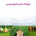 خوراک دام و طیور فرجی، تهیه و پخش خوراک دام در میاندوآب آذربایجان
