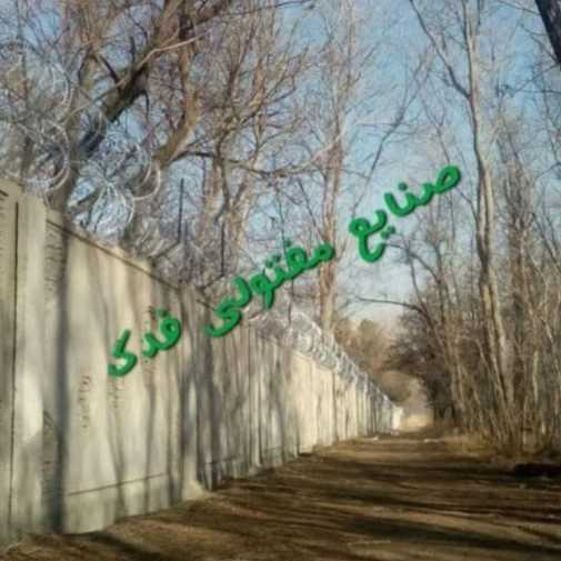 1719822991789.webp