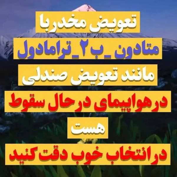 1719828299372.webp