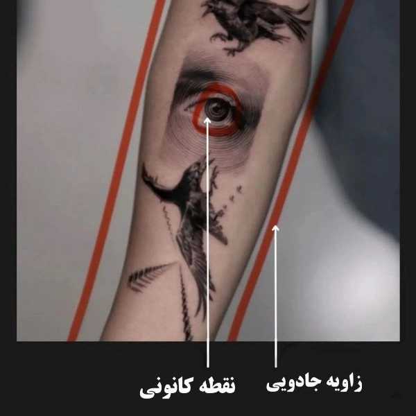 1720871891481.webp