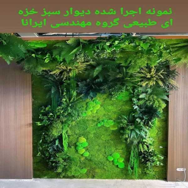 1722070269002.webp