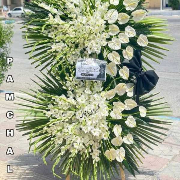 1722847197340.webp