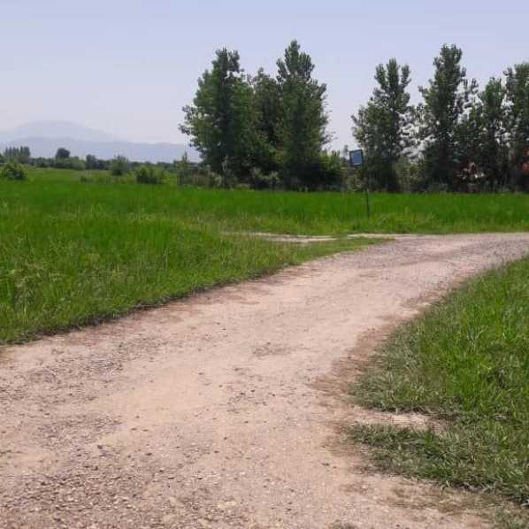 1722925483826.webp