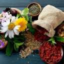 طلای سبز ایرانی، تولید کننده گیاهان دارویی و قارچ دارویی در اراک