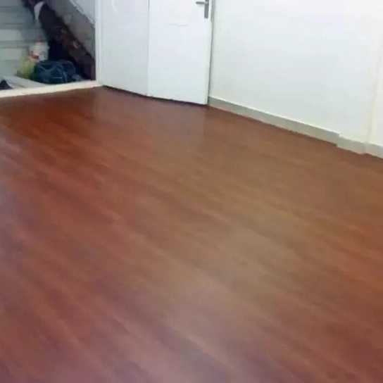 1723969953413.webp