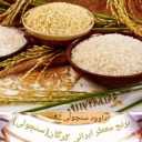 برنج داوود، فروش برنج با کیفیت شمالی در مینودشت