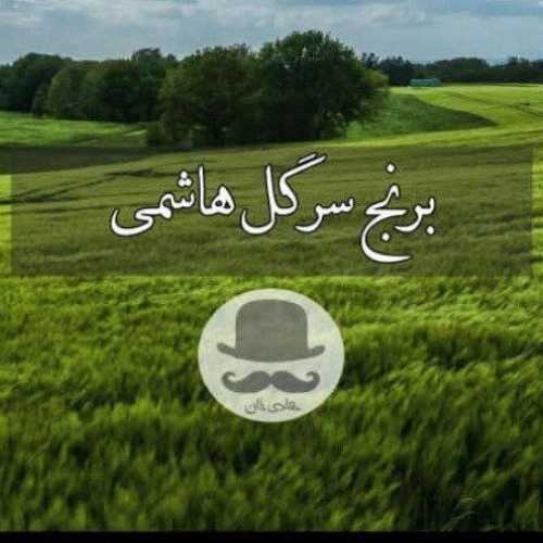 1724822387489.webp