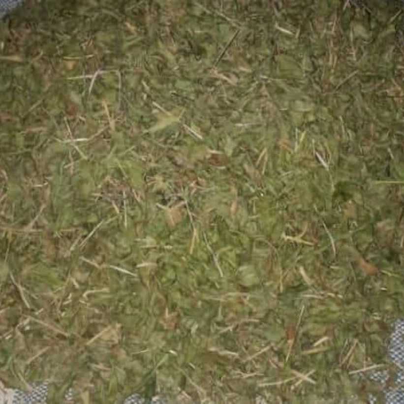 1726732265131.webp