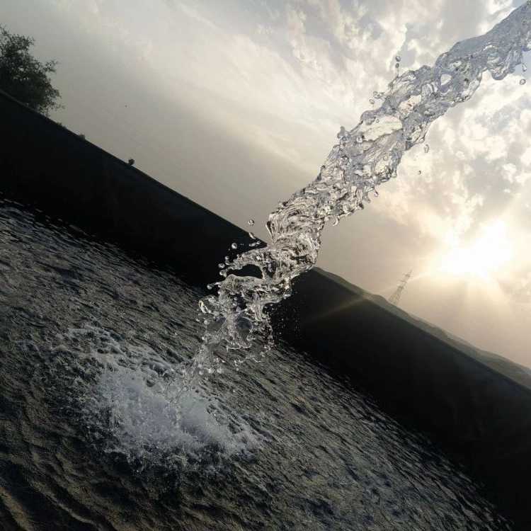 1727255553448.webp