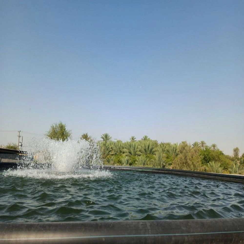 1727258036195.webp