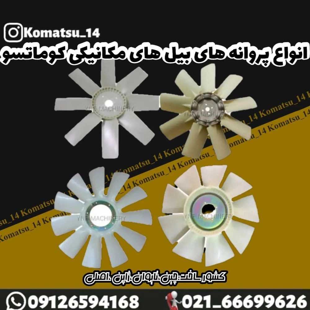 1727264973205.webp