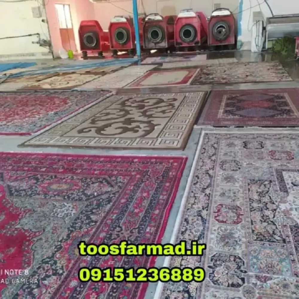 1730181887651.webp