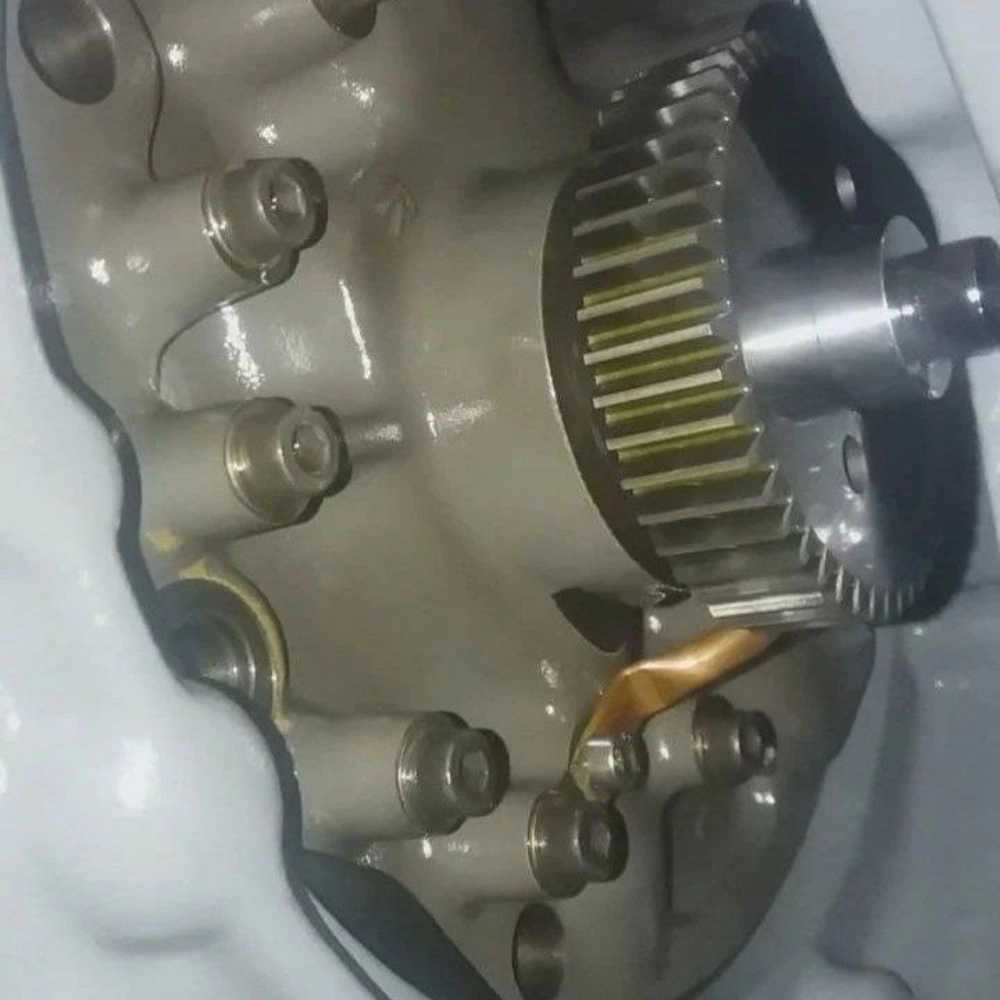 1730624434378.webp