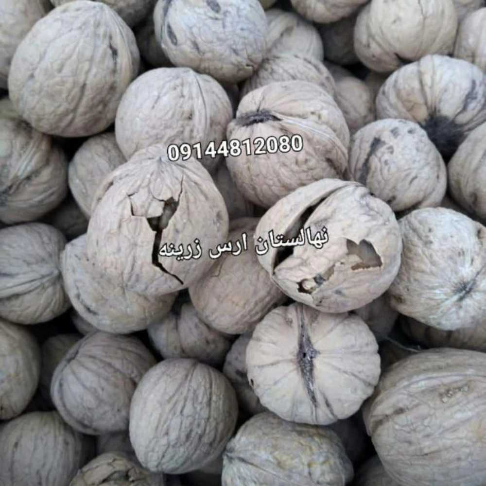 1731220803862.webp