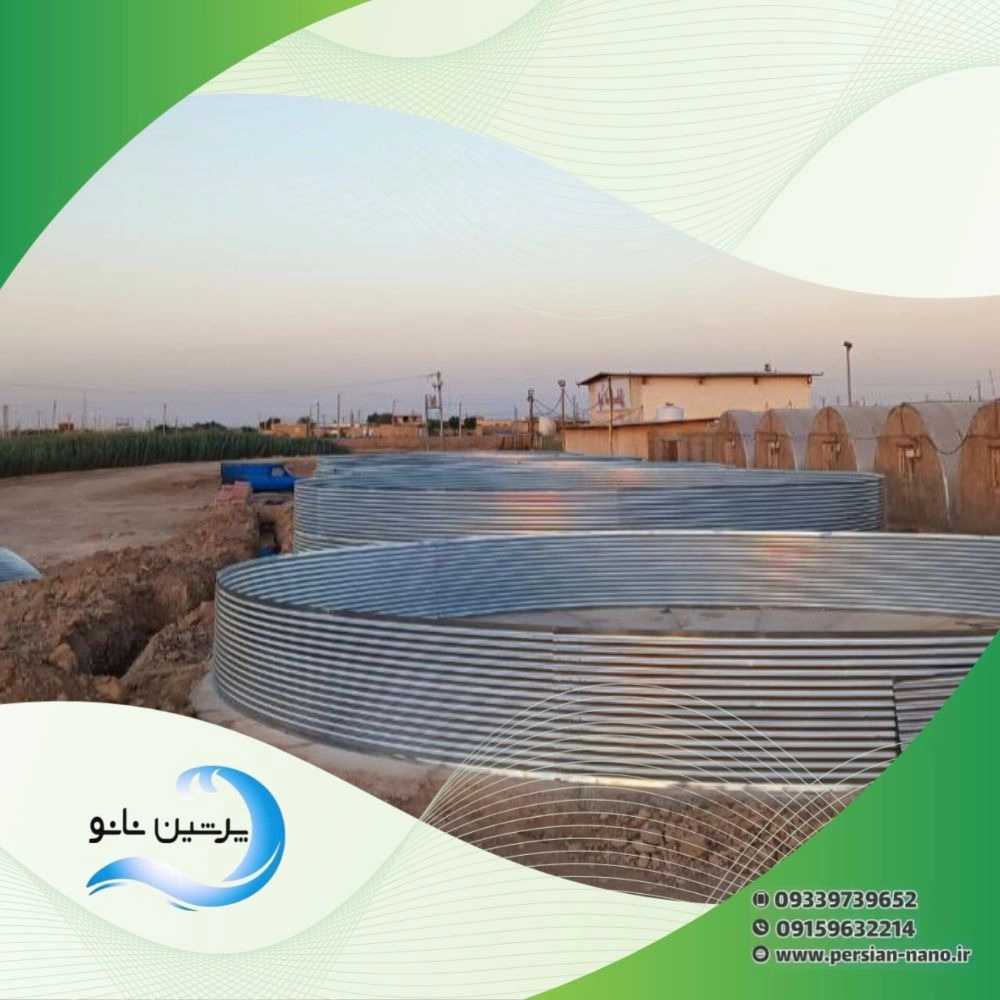 1731949076937.webp