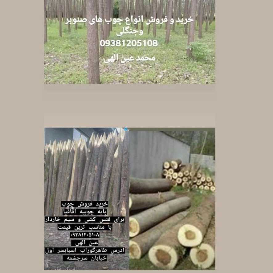 1732512111020.webp