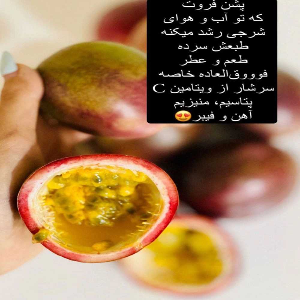 1733732047581.webp