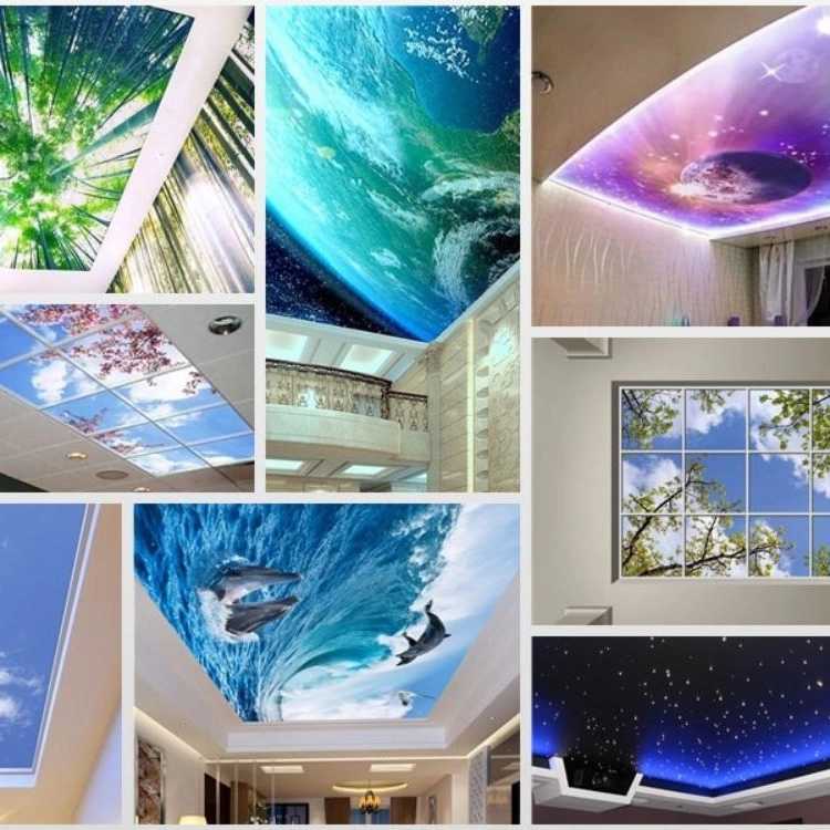 1734348445720.webp