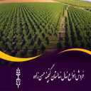 نهالستان گنجینه حسن زاده، فروش انواع نهال در میاندوآب