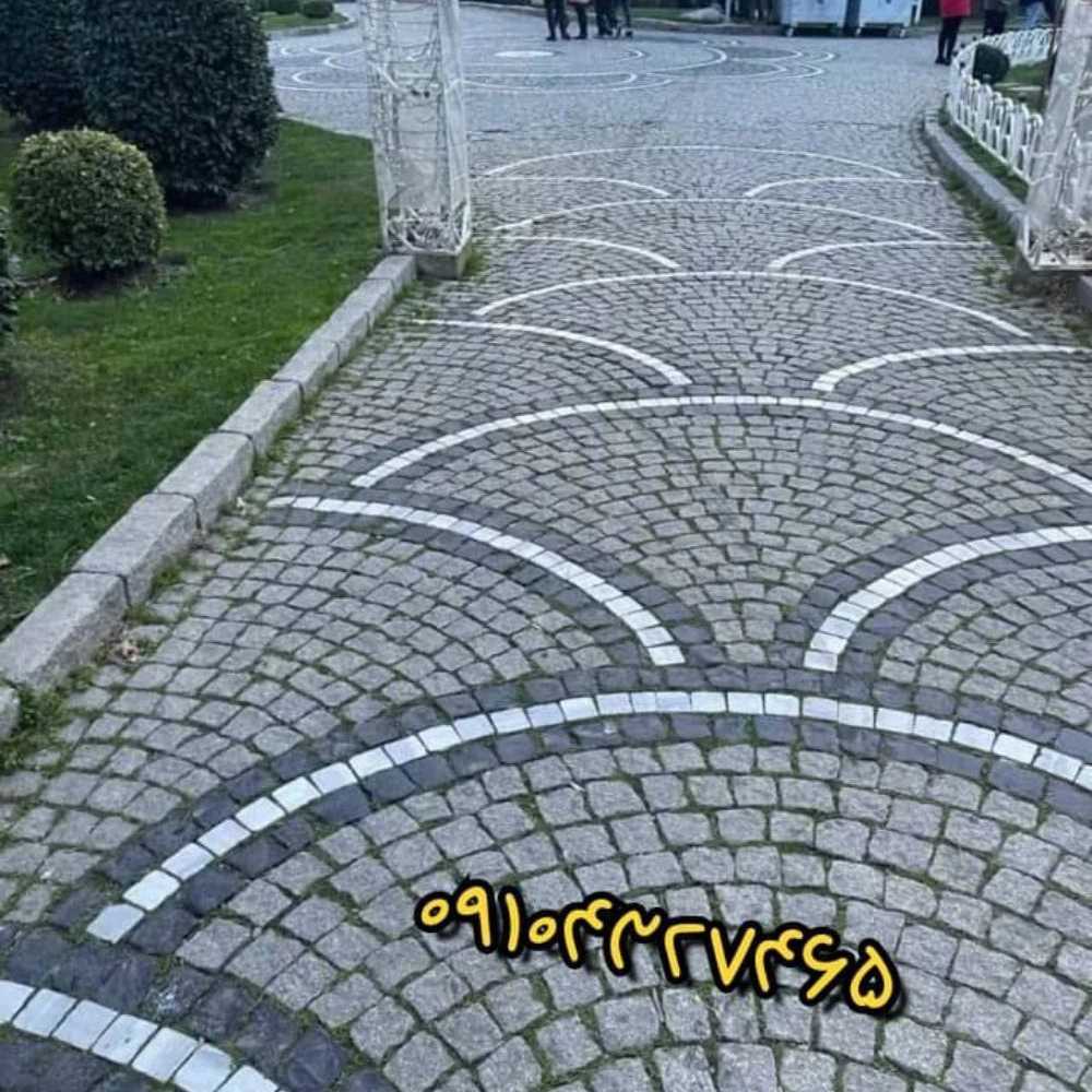 1743853662794.webp