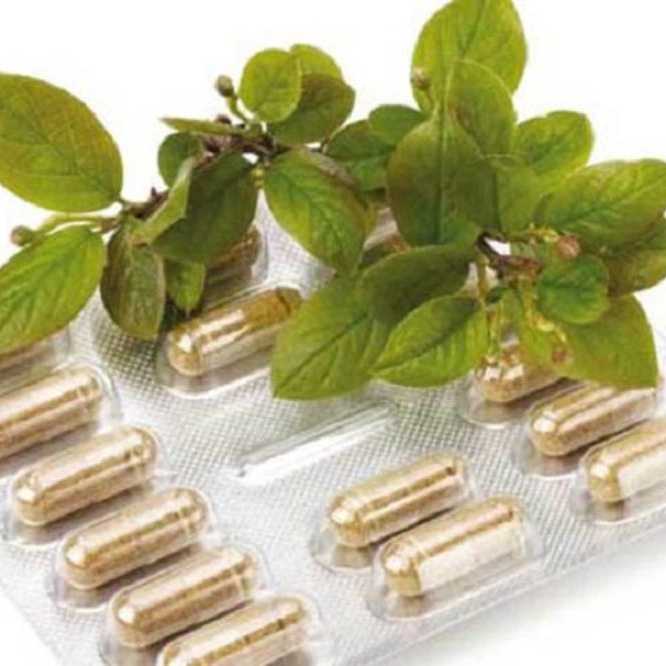 1746609790779.webp