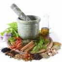 شهرانوش، تامین و توزیع گیاهان دارویی در شیراز
