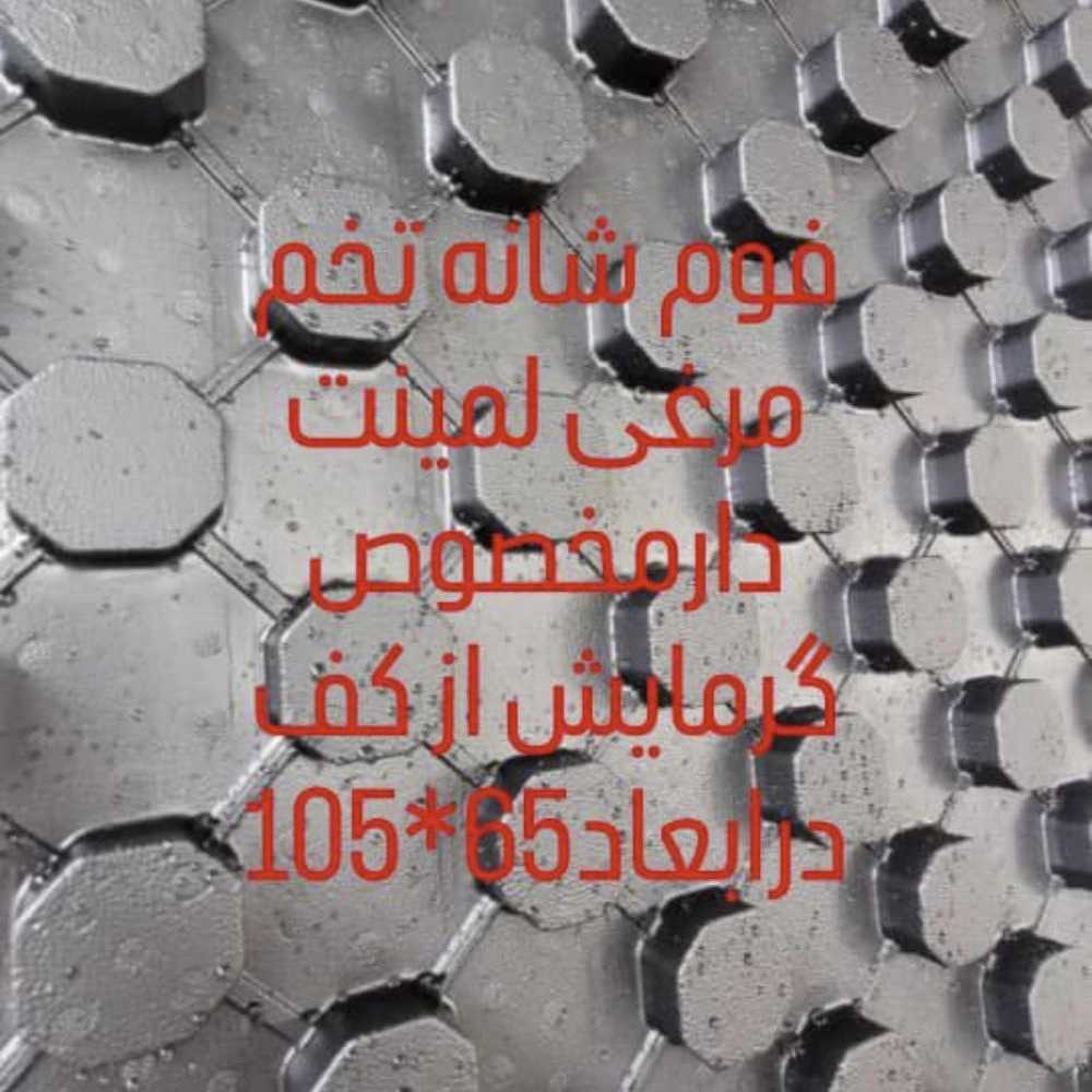 1747568281786.webp
