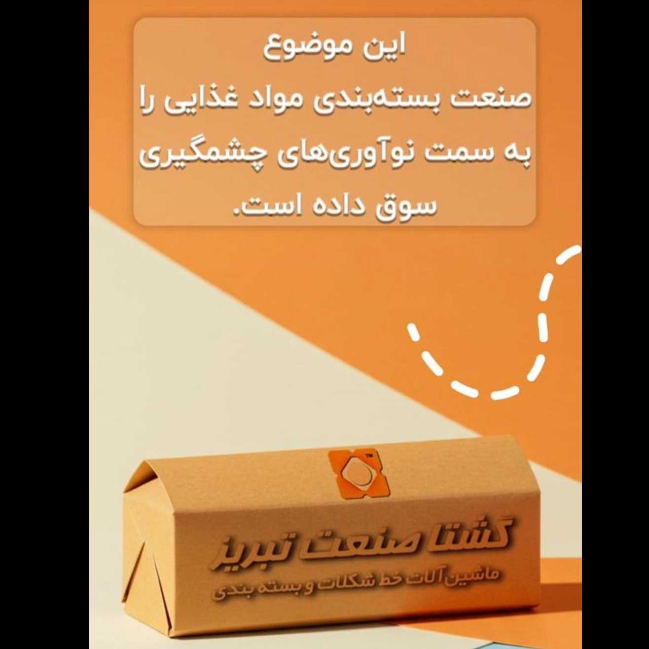 1748320675048.webp