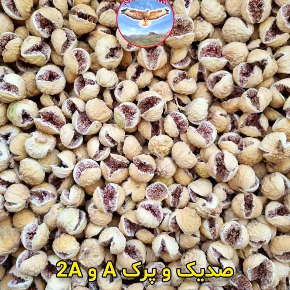 1753176773413.webp