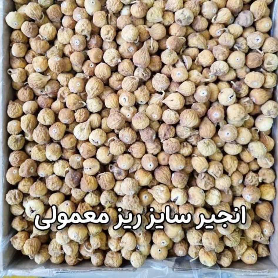 1753176809311.webp