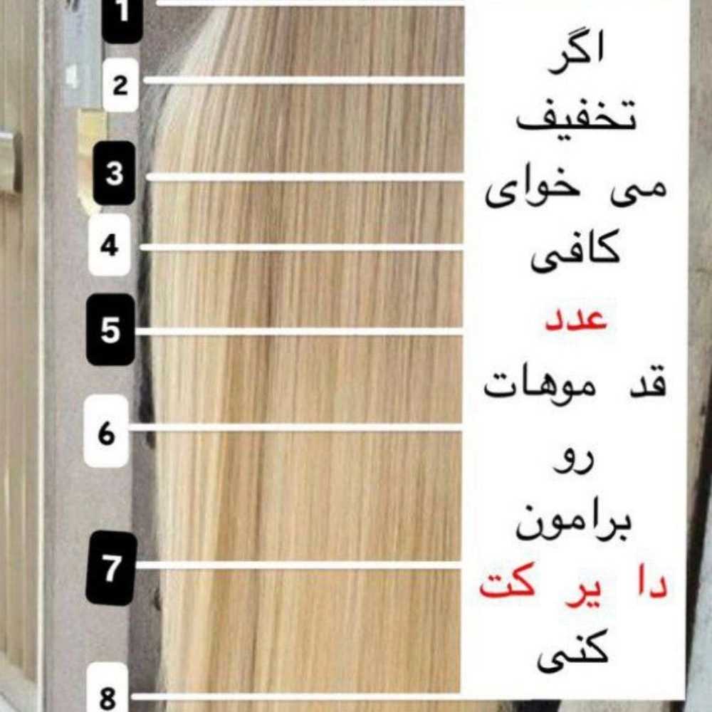 1753604847984.webp