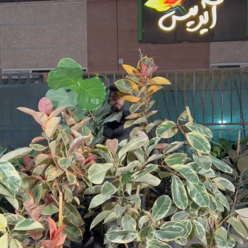 1760251406562.webp