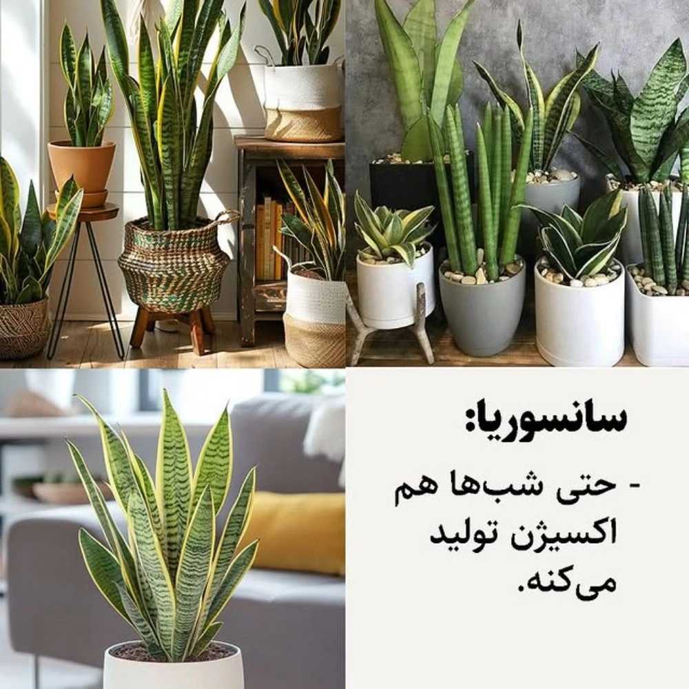 1760510635247.webp
