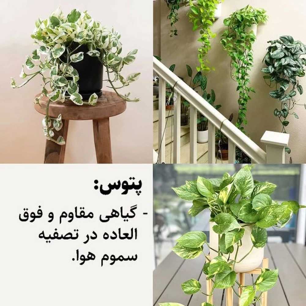 1760510655288.webp