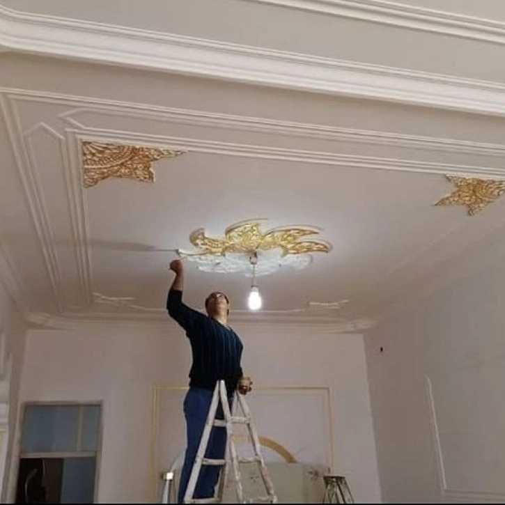 1762063063848.webp